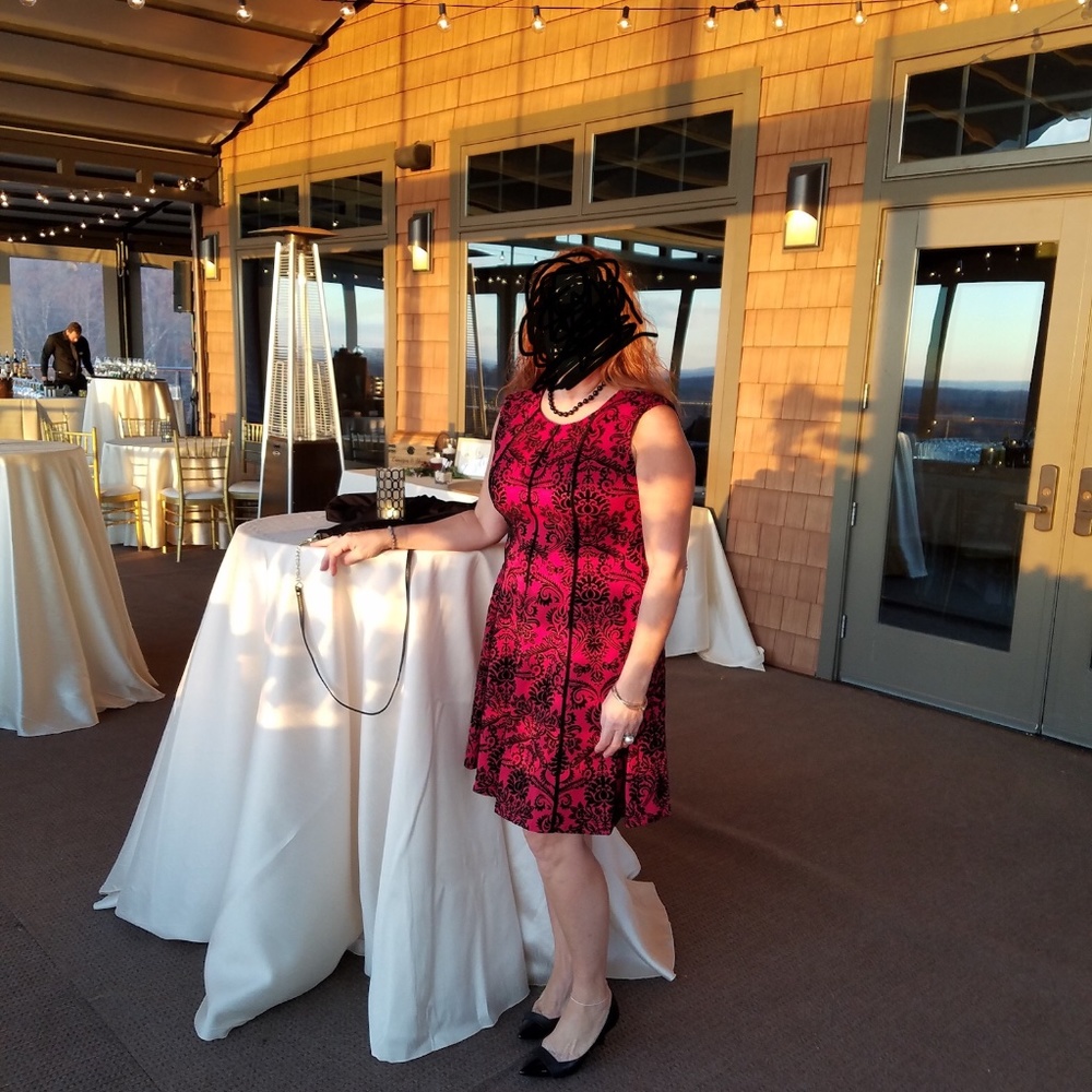 Size 14 red and black sleeveless ROZ & ALI  FIT AND FLARE dress.